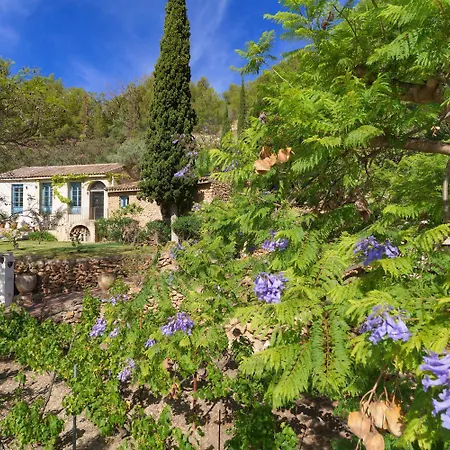 Casita Maria Villa Frigiliana